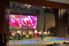 scena spectacol oradea